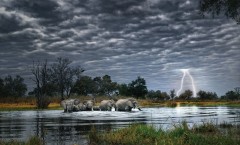 Africa-Photography-Alex-Bernasconi-sloni-peresekaut-reku