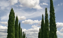 Val-d'Orcia-Tuscany-Italy