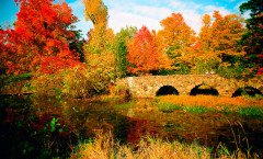 Parc-National-Mont-St-Bruno