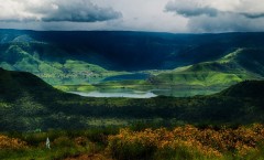 nature's_gold_zoloto_prirodi