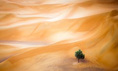 Пустыня-Дубай-National_Geographic