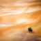 Пустыня-Дубай-National_Geographic