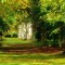 Forest_Sunny_forest_лес_летом_солнечный_лес