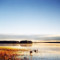 utro-karelia-russia