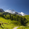 Горы_Альпы_Alps_Alpes_Alpi_коровы_пасутся_у_Альп_в_горах_Европа