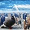 New-york-fly-sky